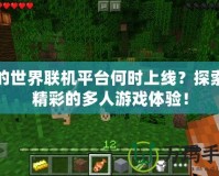 我的世界聯(lián)機(jī)平臺(tái)何時(shí)上線(xiàn)？探索最精彩的多人游戲體驗(yàn)！