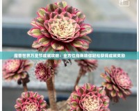 魔獸世界萬圣節(jié)成就攻略：全方位指南助你輕松獲得成就獎勵