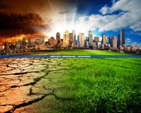 固拉多大地之力：解鎖自然的無窮潛力，打造未來的綠色世界