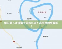 保衛(wèi)蘿卜沙漠第十關(guān)怎么過？高手經(jīng)驗全解析！