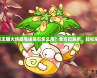 洛克王國火燒眉毛技能石怎么用？全方位解析，輕松掌握！