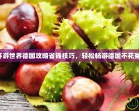 暖暖環(huán)游世界德國(guó)攻略省錢技巧，輕松暢游德國(guó)不花冤枉錢！