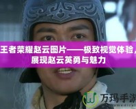 王者榮耀趙云圖片——極致視覺(jué)體驗(yàn)，展現(xiàn)趙云英勇與魅力