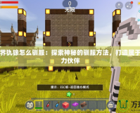 我的世界犰狳怎么馴服：探索神秘的馴服方法，打造屬于你的強力伙伴
