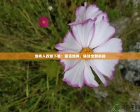 洛克人改版下載：重溫經典，體驗全新挑戰(zhàn)