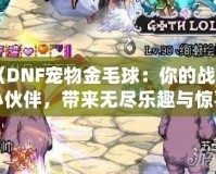 《DNF寵物金毛球：你的戰(zhàn)斗小伙伴，帶來無盡樂趣與驚喜》