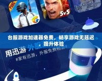 臺(tái)服游戲加速器免費(fèi)，暢享游戲無(wú)延遲，提升體驗(yàn)