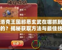 洛克王國邪惡玄武在哪抓到的？揭秘獲取方法與最佳技巧！