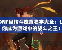 DNF男格斗覺醒名字大全：讓你成為游戲中的戰(zhàn)斗之王！