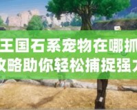 洛克王國石系寵物在哪抓？全面攻略助你輕松捕捉強力伙伴
