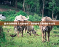 最終幻想命運(yùn)之輪在哪刷？探索最佳獲取途徑和技巧