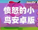 憤怒的小鳥(niǎo)安卓版在哪下載？暢享經(jīng)典游戲，隨時(shí)隨地釋放壓力！