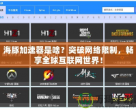 海豚加速器是啥？突破網絡限制，暢享全球互聯(lián)網世界！