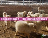 歡迎來(lái)到綿羊村攻略山羊——開啟一場(chǎng)別開生面的鄉(xiāng)村冒險(xiǎn)之旅