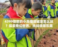 4399憤怒的小鳥魔法城堡怎么玩？探索奇幻世界，挑戰(zhàn)極限樂趣！