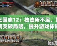 三國志12：技法所不足，如何突破局限，提升游戲體驗？