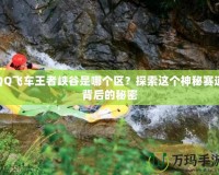 QQ飛車王者峽谷是哪個(gè)區(qū)？探索這個(gè)神秘賽道背后的秘密