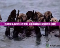 王者榮耀安卓遷移iOS不花錢！詳細步驟教你輕松實現(xiàn)跨平臺轉(zhuǎn)移