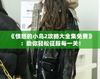 《憤怒的小鳥2攻略大全集免費(fèi)》：助你輕松征服每一關(guān)！