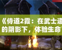 《侍道2霞：在武士道的陰影下，體驗生命與死亡的交織》