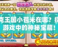洛克王國(guó)小苞米在哪？探秘游戲中的神秘寶藏！