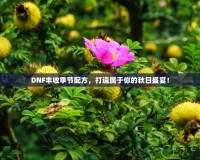 DNF豐收季節(jié)配方，打造屬于你的秋日盛宴！