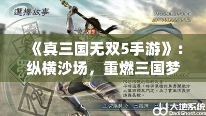 《真三國(guó)無(wú)雙5手游》：縱橫沙場(chǎng)，重燃三國(guó)夢(mèng)