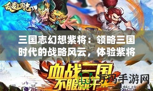 三國志幻想紫將：領略三國時代的戰(zhàn)略風云，體驗紫將的非凡魅力