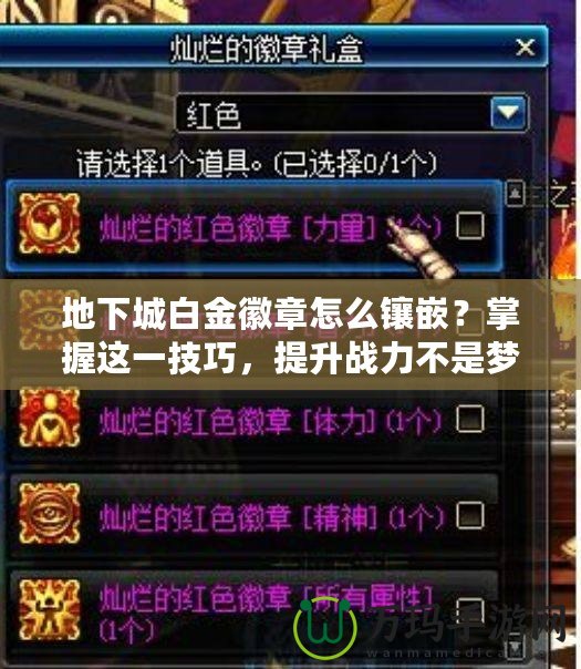 地下城白金徽章怎么鑲嵌？掌握這一技巧，提升戰(zhàn)力不是夢(mèng)！