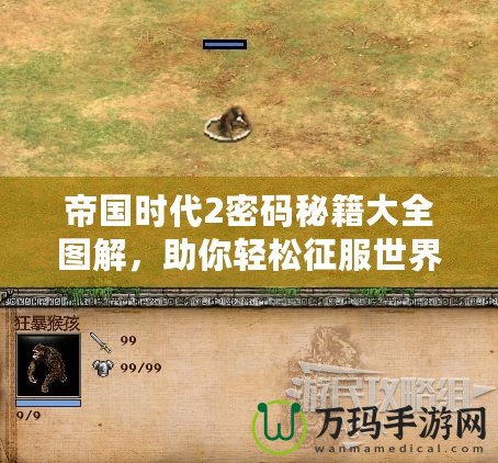 帝國時(shí)代2密碼秘籍大全圖解，助你輕松征服世界！