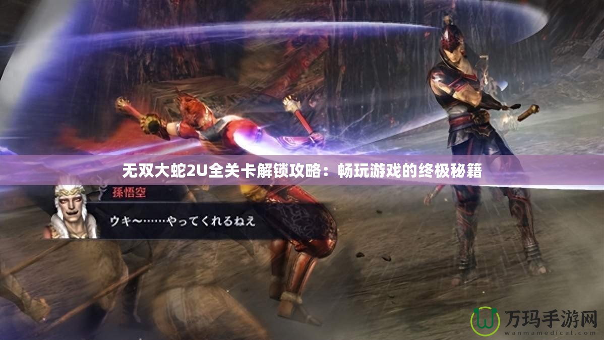 無(wú)雙大蛇2U全關(guān)卡解鎖攻略：暢玩游戲的終極秘籍