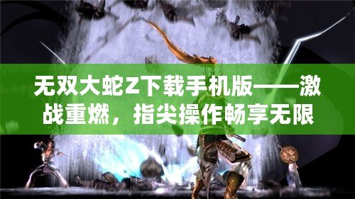 無雙大蛇Z下載手機(jī)版——激戰(zhàn)重燃，指尖操作暢享無限快感！