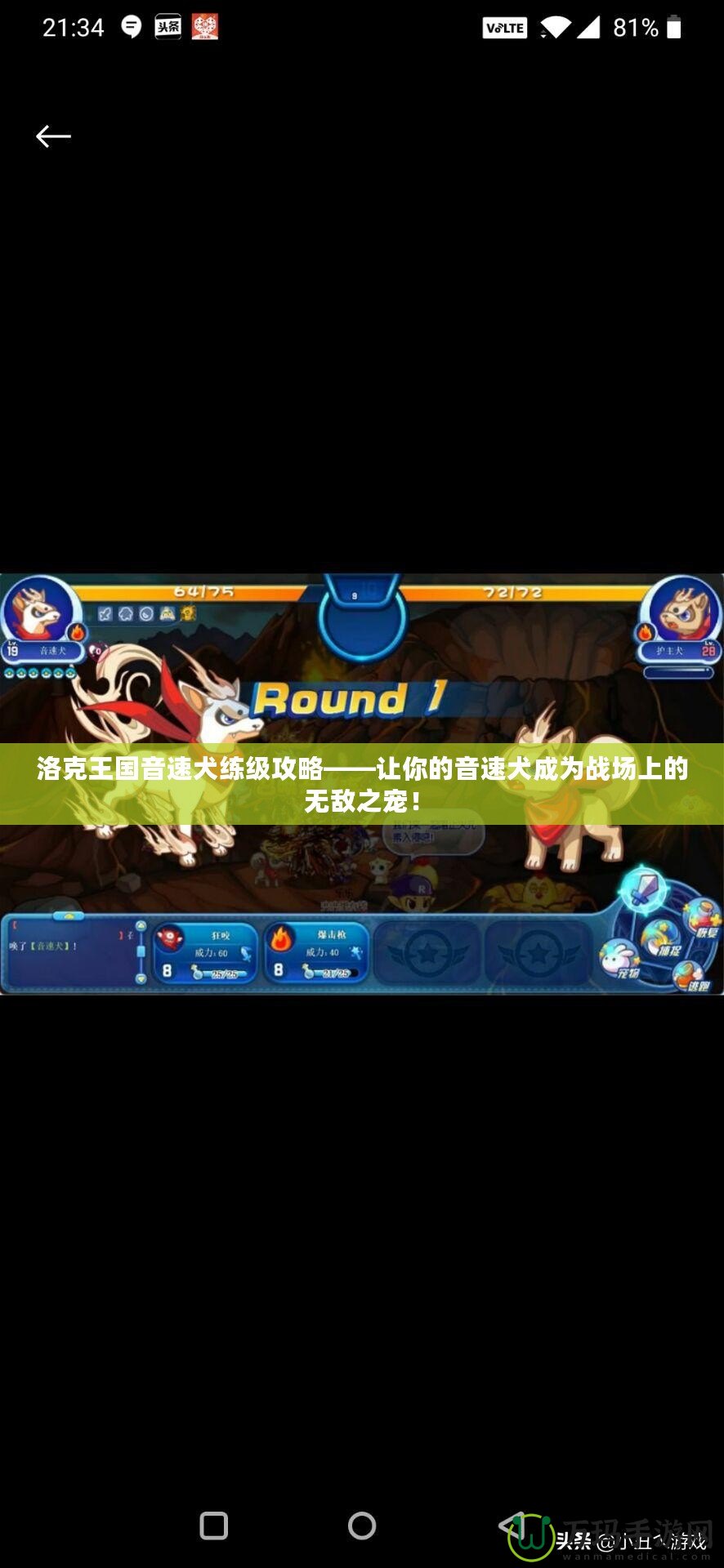 洛克王國音速犬練級攻略——讓你的音速犬成為戰(zhàn)場上的無敵之寵！