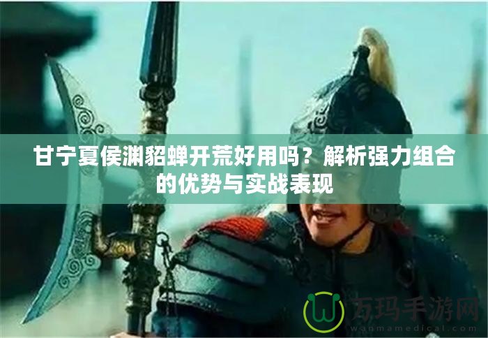 甘寧夏侯淵貂蟬開(kāi)荒好用嗎？解析強(qiáng)力組合的優(yōu)勢(shì)與實(shí)戰(zhàn)表現(xiàn)