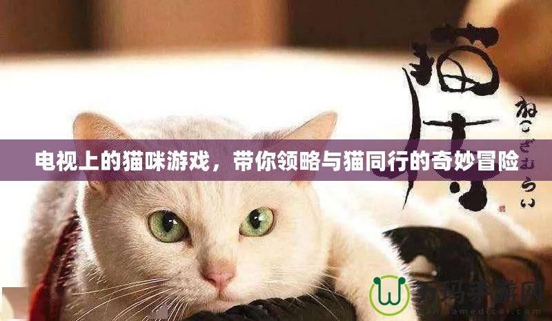 電視上的貓咪游戲，帶你領(lǐng)略與貓同行的奇妙冒險(xiǎn)