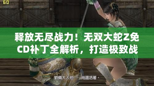釋放無盡戰(zhàn)力！無雙大蛇Z免CD補(bǔ)丁全解析，打造極致戰(zhàn)斗體驗
