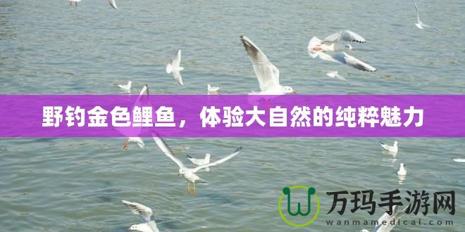 野釣金色鯉魚，體驗大自然的純粹魅力