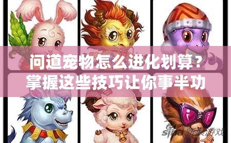 問(wèn)道寵物怎么進(jìn)化劃算？掌握這些技巧讓你事半功倍！