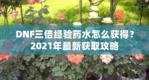 DNF三倍經(jīng)驗藥水怎么獲得？2021年最新獲取攻略