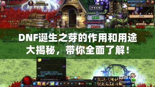 DNF誕生之芽的作用和用途大揭秘，帶你全面了解！