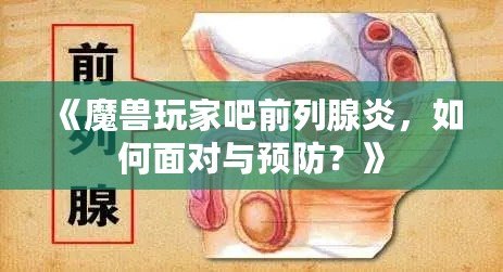 《魔獸玩家吧前列腺炎，如何面對與預(yù)防？》