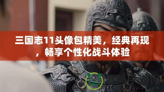 三國志11頭像包精美，經(jīng)典再現(xiàn)，暢享個性化戰(zhàn)斗體驗