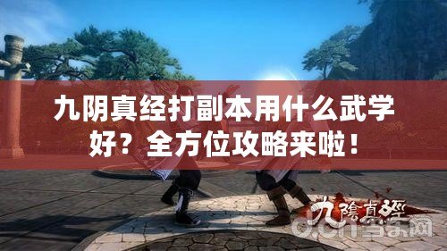 九陰真經(jīng)打副本用什么武學好？全方位攻略來啦！