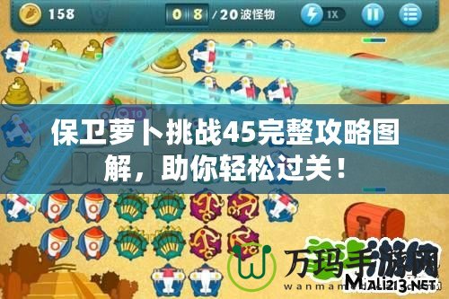 保衛(wèi)蘿卜挑戰(zhàn)45完整攻略圖解，助你輕松過關！