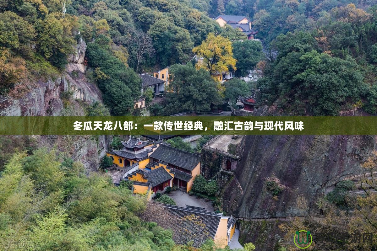 冬瓜天龍八部：一款傳世經(jīng)典，融匯古韻與現(xiàn)代風味