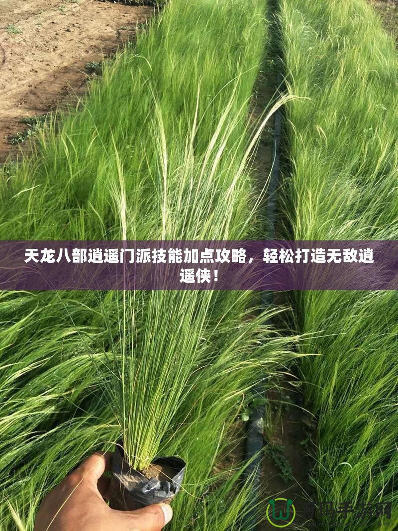 天龍八部逍遙門派技能加點攻略，輕松打造無敵逍遙俠！