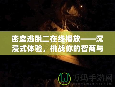 密室逃脫二在線播放——沉浸式體驗(yàn)，挑戰(zhàn)你的智商與勇氣！