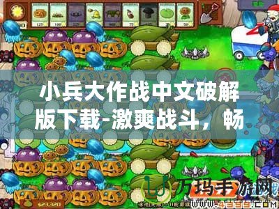 小兵大作戰(zhàn)中文破解版下載-激爽戰(zhàn)斗，暢享無限樂趣！