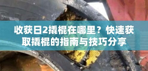收獲日2撬棍在哪里？快速獲取撬棍的指南與技巧分享