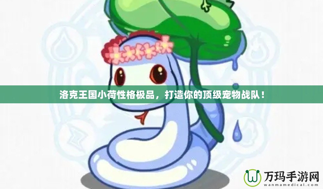 洛克王國小荷性格極品，打造你的頂級(jí)寵物戰(zhàn)隊(duì)！